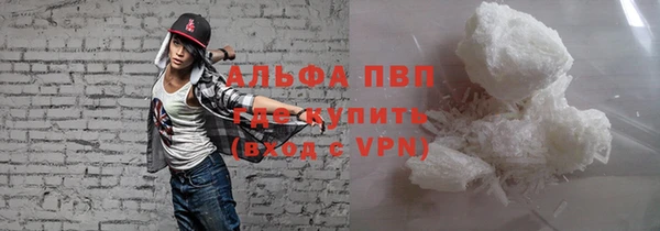 прущие грибы Абаза