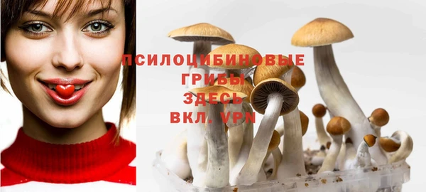 спиды Абинск