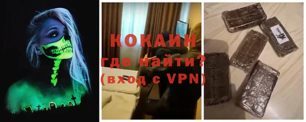 прущие грибы Абаза