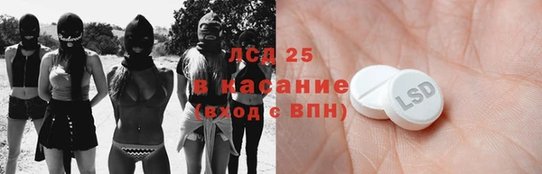 прущие грибы Абаза