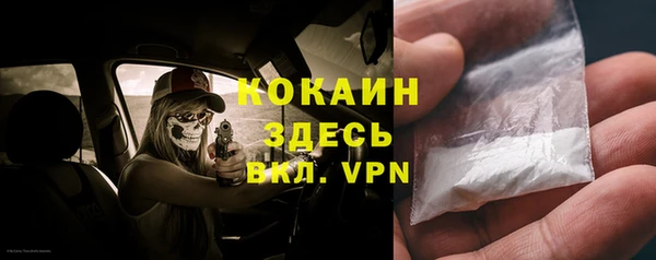 прущие грибы Абаза