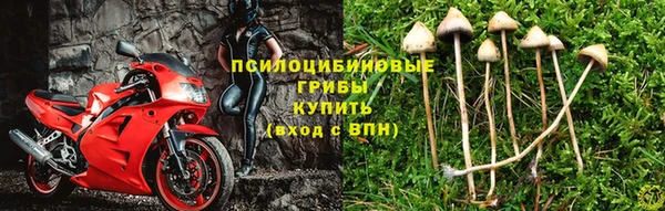 ешки Надым
