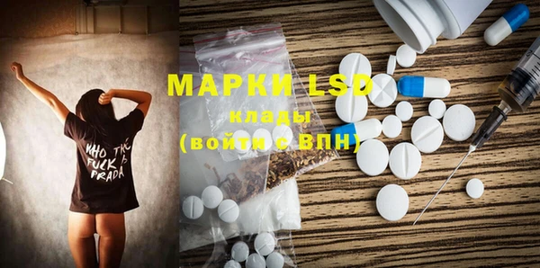 прущие грибы Абаза