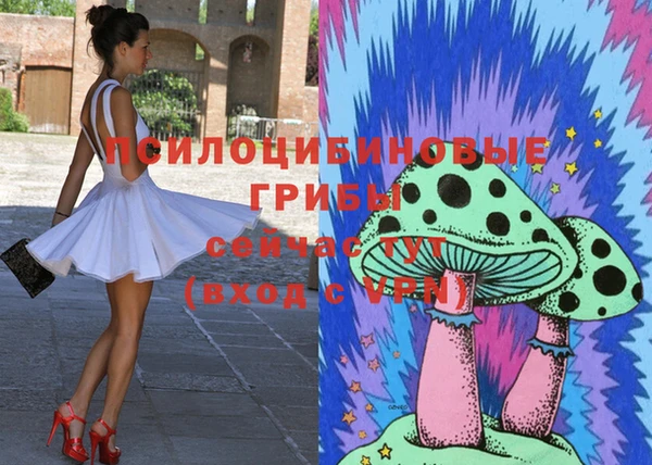 прущие грибы Абаза
