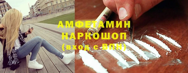 прущие грибы Абаза