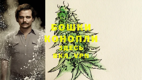 сатива Абдулино