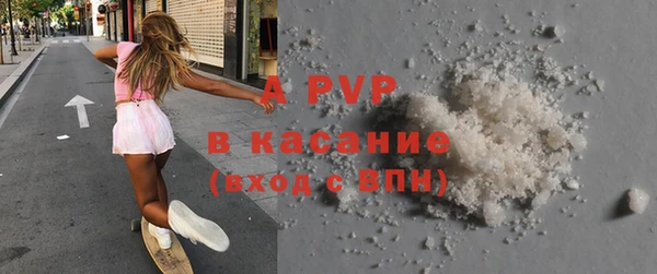 прущие грибы Абаза