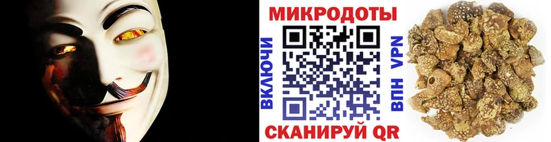 Псилоцибиновые грибы Cubensis Новокузнецк