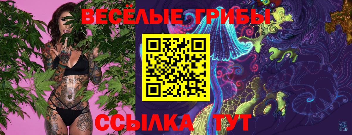 Псилоцибиновые грибы ЛСД Новокузнецк